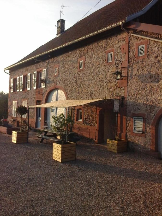 Gite Ferme La Rosee Blanche Ban-de-Laveline Экстерьер фото